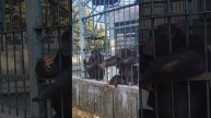 Ялта-Интурист2️⃣0️⃣2️⃣4️⃣