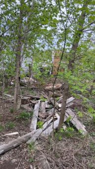 Пытаемся воскресить 15 летний участок