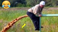 Лучшие приколы, смешные видео и фейлы