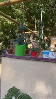 Люди живут на помойке? ААААА!
