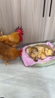 Дамочка, по-моему вы что-то перепутали 😆