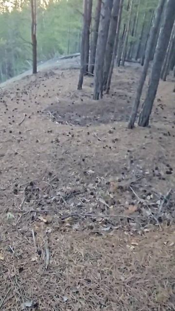 Странные углубления в земле