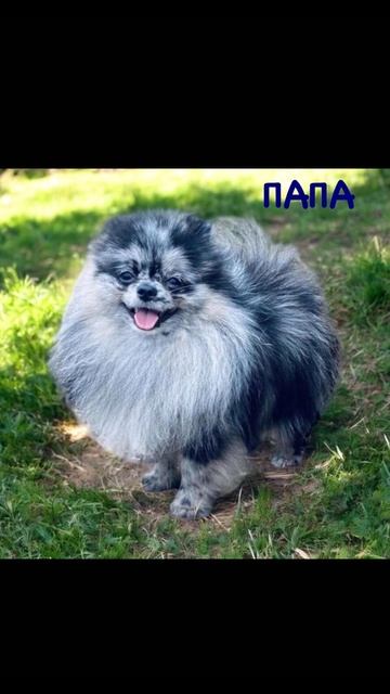 206D6C56-A538-43F2-9238-D4773888B81F