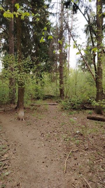 0351bd45-2b1a-4b80-8f91-199dfb86cef2-1_all_3526.mp4