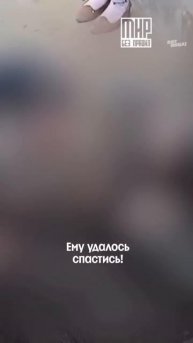 От таких историй мурашки по коже 😳
#МирБезПравил — воскресенье 23:00