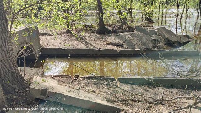 Зелёный остров Омск 5 мая 2025 года. Пришла вода.