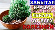 Древние Боялись Эту Траву — Узнай, Важное Откровение О…