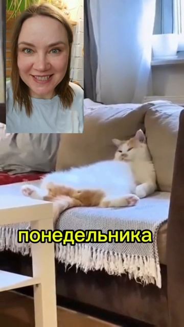 #осозналка бодрящего понедельника