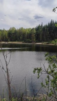 В лесу у озера