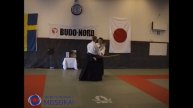 2 Aikido Jo Tai Ken Katadorimenuchi Nikyo, Shishiya Sensei Sundsvall 2004