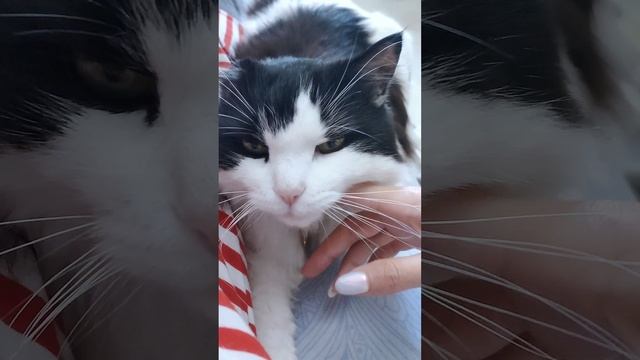 Моя любовь ❤️