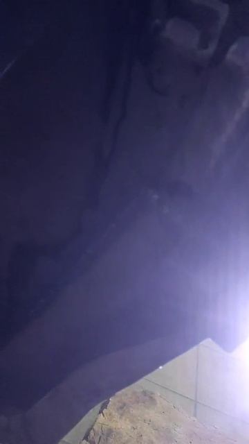 1000130366.mp4