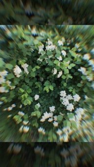Пусть каждый момент приносит радость. 🌼
#Весна #Май #Понедельник