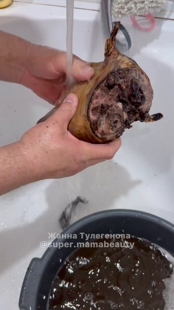 Почему мы едим голову барана?