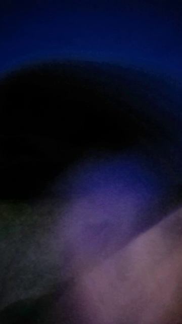 scene_output.mp4