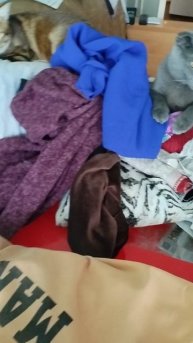VID_20240805_175530.mp4