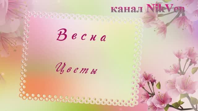 Александр Тихонов Вальс цветов или воспоминание