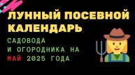 МАЙ 2025: Лунный календарь садовода! 📅 Когда СЕЯТЬ, чтобы собрать ВДВОЕ БОЛЬШЕ?