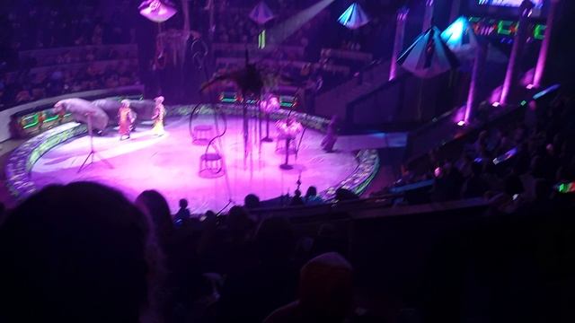 1000013235.mp4