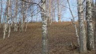 VID_20250423_124925_278.mp4
