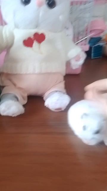 Что делает Луя???