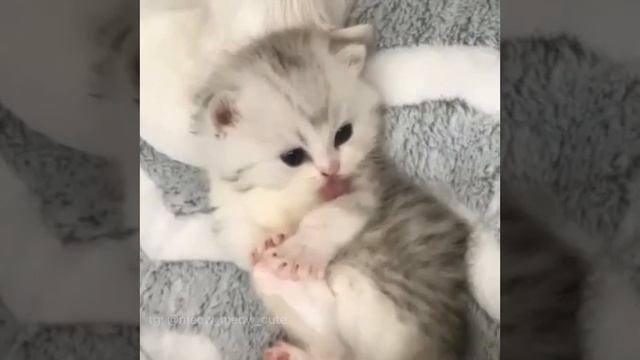 1000039445.mp4
