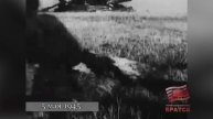 Войска З-го Белорусского фронта вели бои по очищению от немцев косы Фриш-Нерунг. До Победы - 4 дня