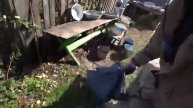 РЫБАЛКА НА АМУРЕ ПОЙМАЛИ ЖЕЛТОЩЁКА