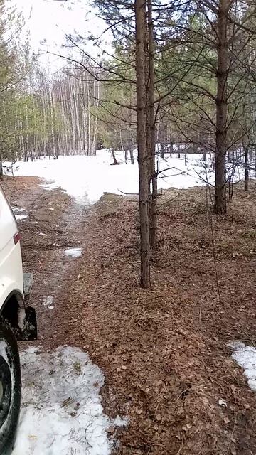 затея не удалась 2