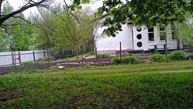 Дело было вечером, делать было  нечего