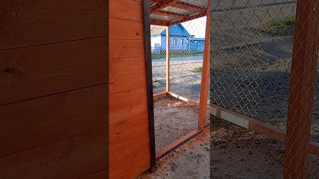 VID_20250505_193634