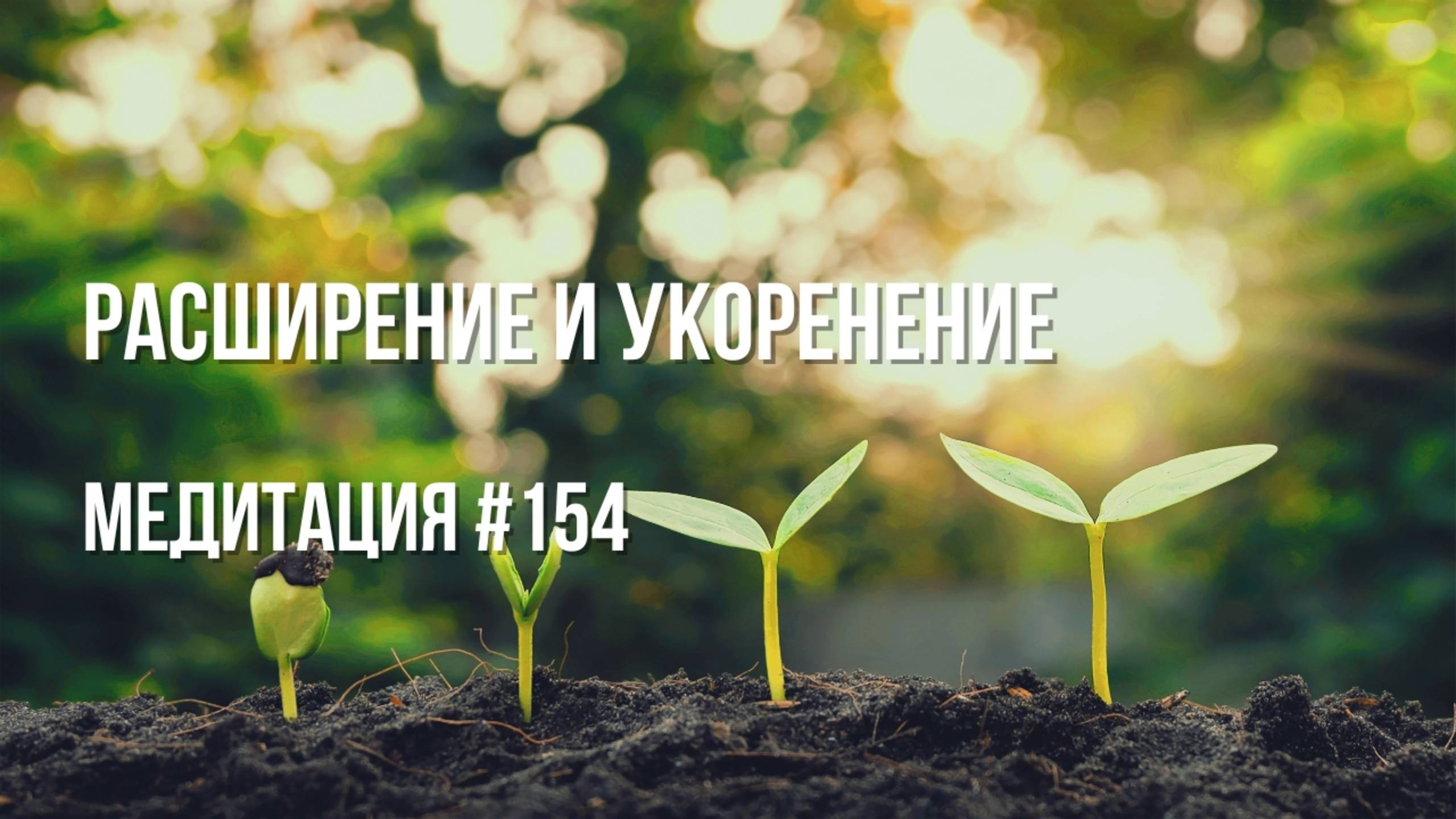 [Медитация #154] Расширение и укоренение