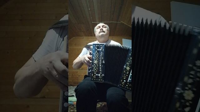 Евгений Дворников,гармонь