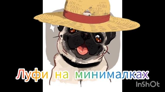 мемы про мопсов 2 часть