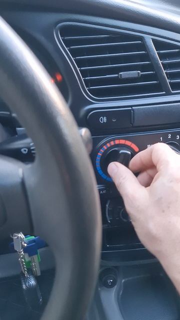 1000109397.mp4