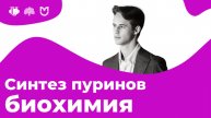 ВСЕ ПРО СИНТЕЗ ПУРИНОВ за 9 МИНУТ // На Биохимическом