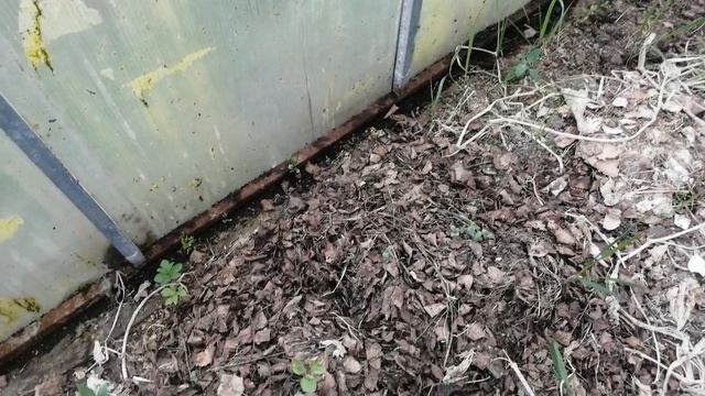 Весна пришла, хлопот принесла. Дела огородные.