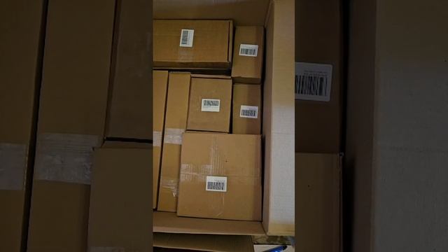 WhatsApp Video 2025-05-05 at 16.06.03