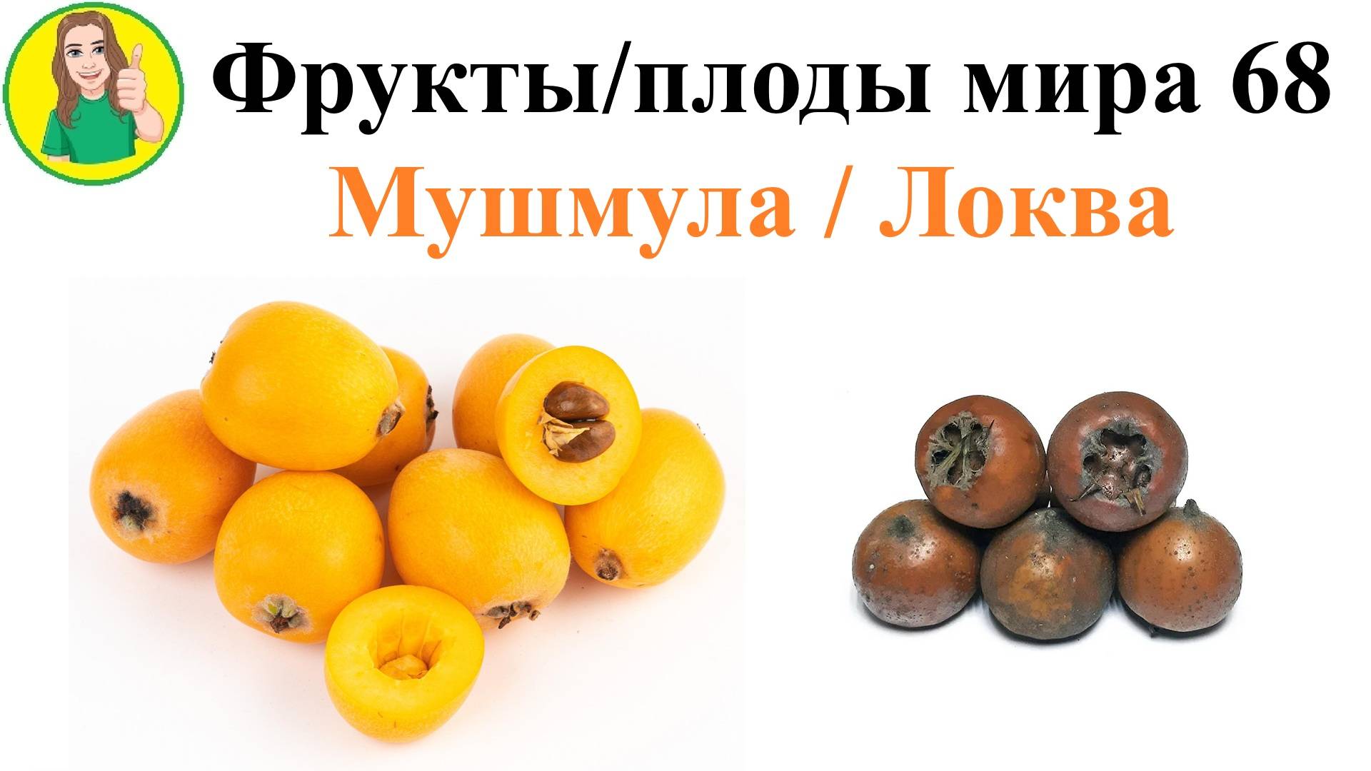 Фрукты - плоды мира 68 – Мушмула или Локва Сыроедение Фрукторианство