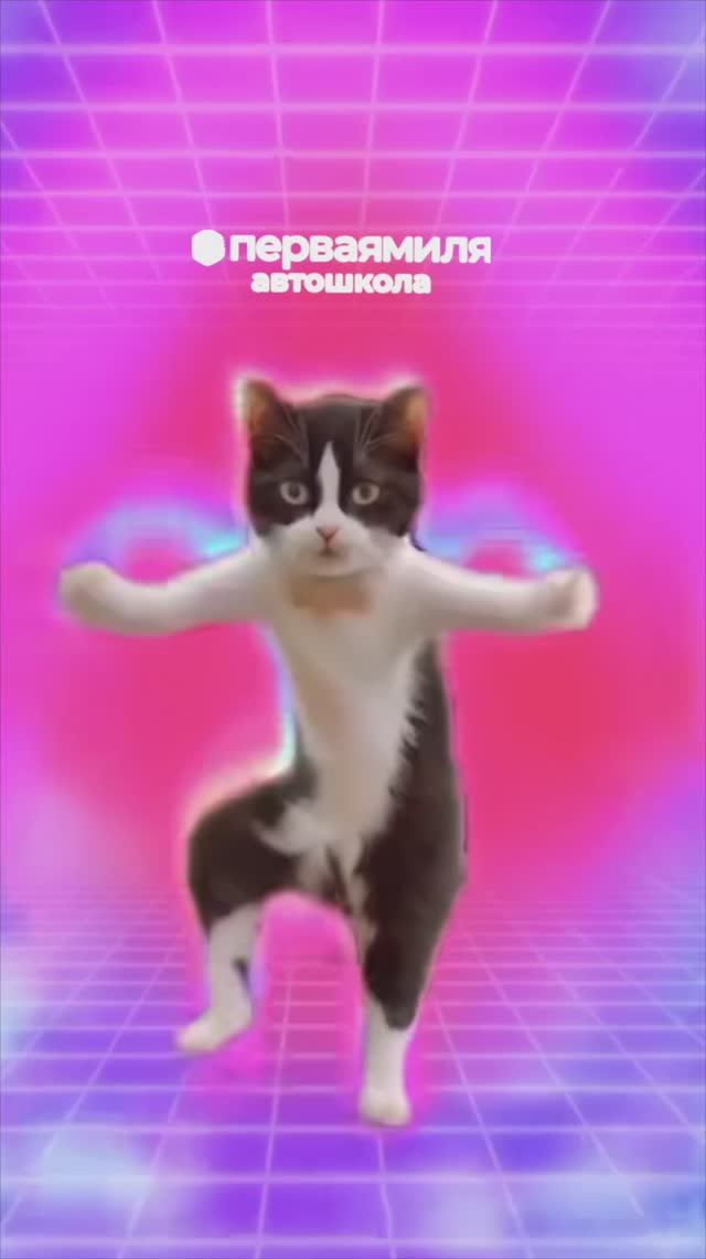 Гонщик дня