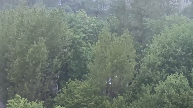🌧️Сильный ветер и ливень обрушились на Москву и Подмосковье🌧️