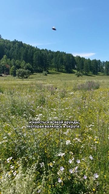 В автодоме на Алтае 2024  ❯  Собачьи развлечения
#автодомсвоимируками #автопутешественники
