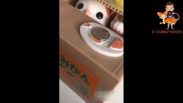 Приколы с котами с озвучкой! Смешные коты! Самые Смешные животные! ДО СЛЁЗ!