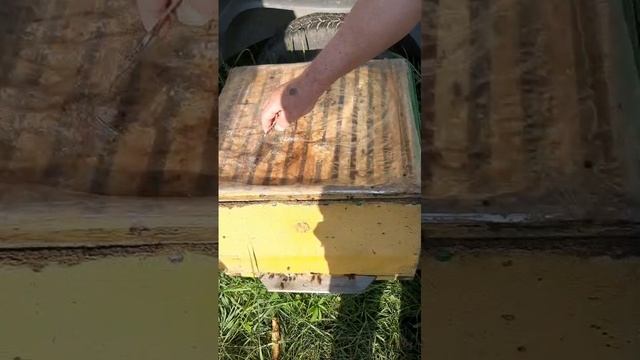 СЭНТО 4 мая 25 часть 1
