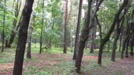 Воспоминание об отдыхе в 2013 году в «Дачном Поселке «Новые горки» (территория).