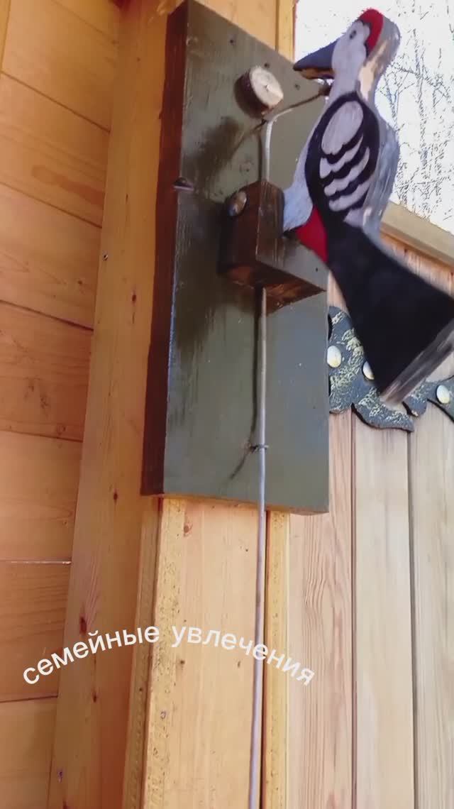 семейные увлечения
