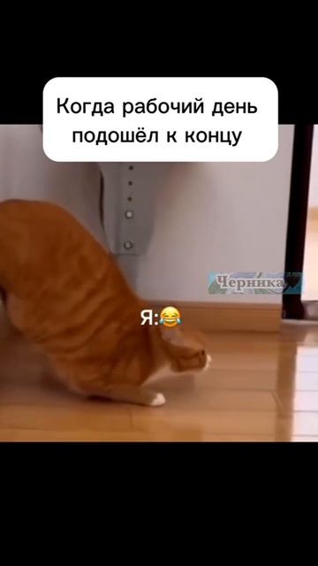 Я ВЕЧЕРОМ ПО ОКОНЧАНИЮ РАБОТЫ