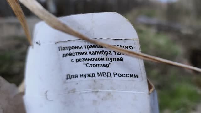От Длинного до Лепсарки с Хасей