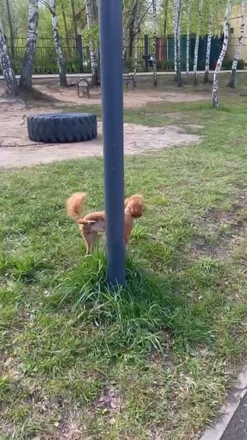 1000000784.mp4