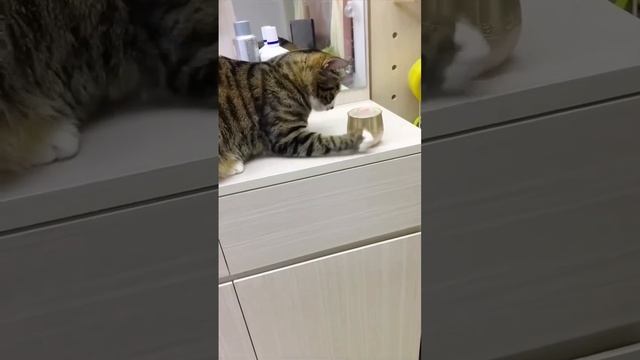Попались